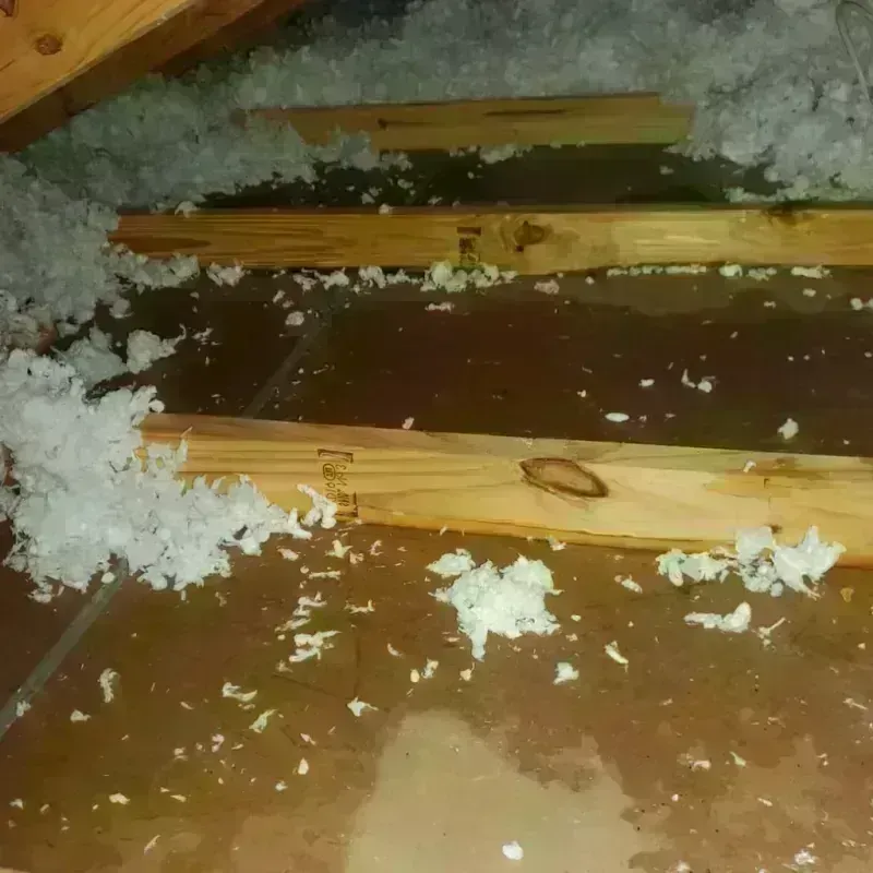 Attic Water Damage in Hill County, MT