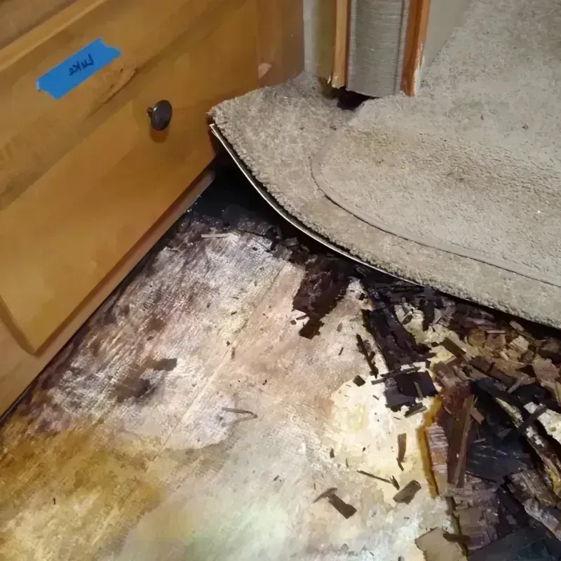 Wood Floor Water Damage in Hill County, MT